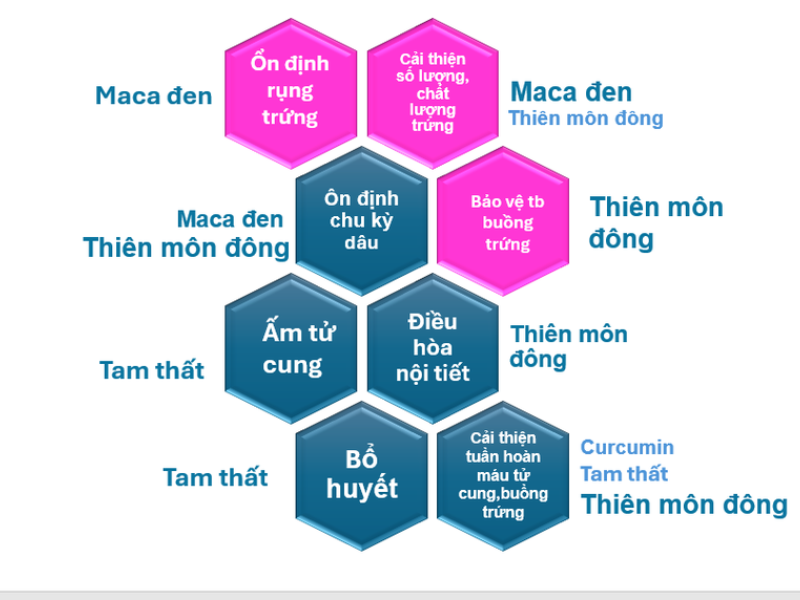 Sản phẩm giúp cân bằng nội tiết, nuôi tử cung khỏe và ổn định kinh nguyệt.