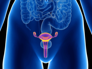 Đa nang buồng trứng có thể dùng BSK-3S không? Hãy cùng tham khảo bài viết nhé.”