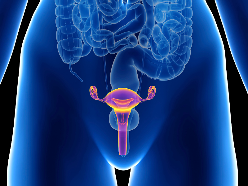 Đa nang buồng trứng có thể dùng BSK-3S không? Hãy cùng tham khảo bài viết nhé.”