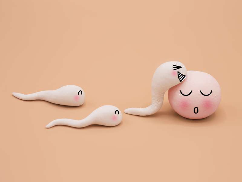 trứng là yếu tố quyết định việc đậu bầu.