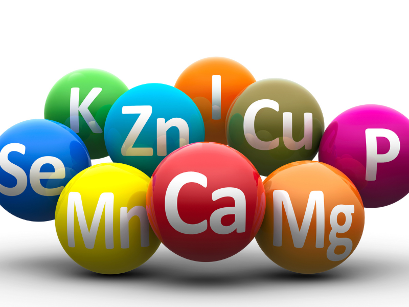 Hạt, hải sản, rau lá xanh cung cấp khoáng chất cần thiết cho sinh sản. BSK-3S