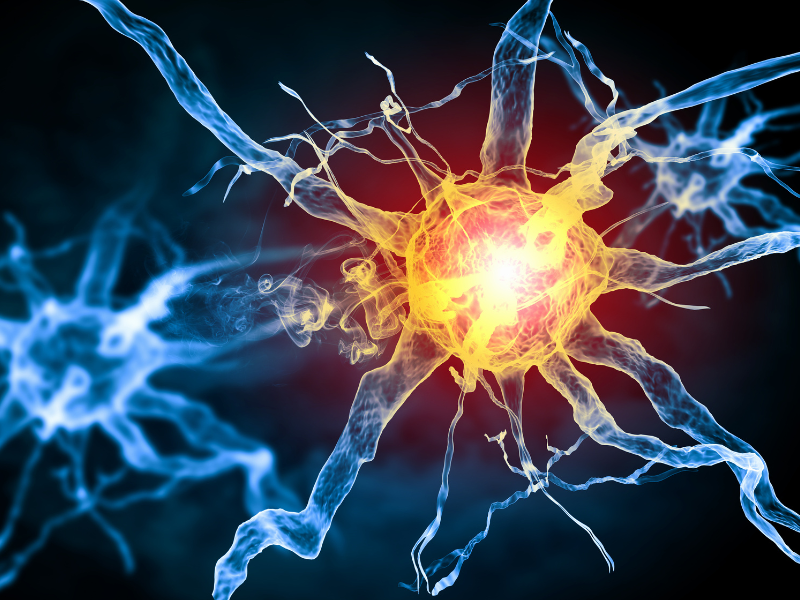 Nội tiết ổn định - trứng khỏe