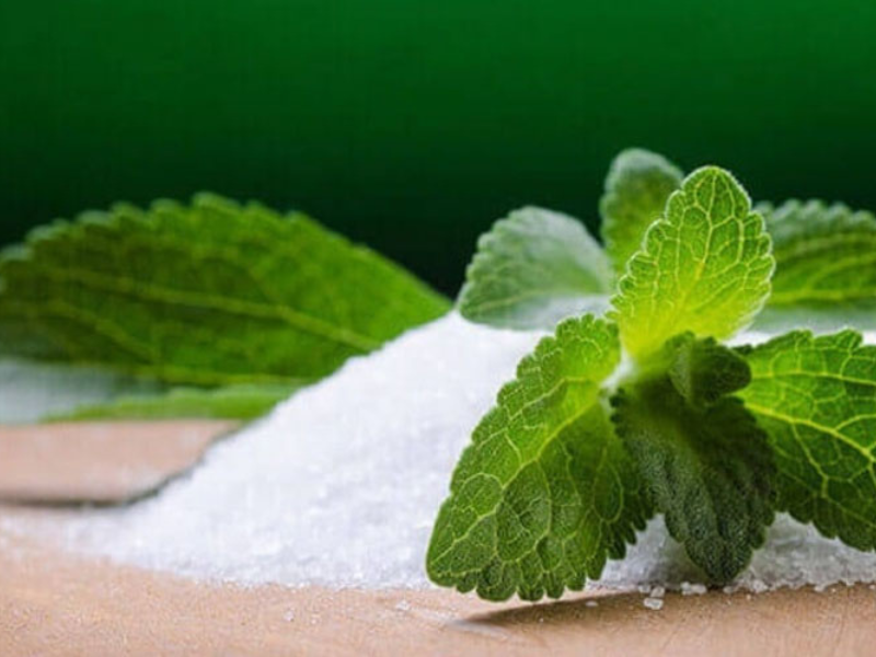 Bột cỏ ngọt phân bố nhiều vùng nhiệt đới nam mỹ.