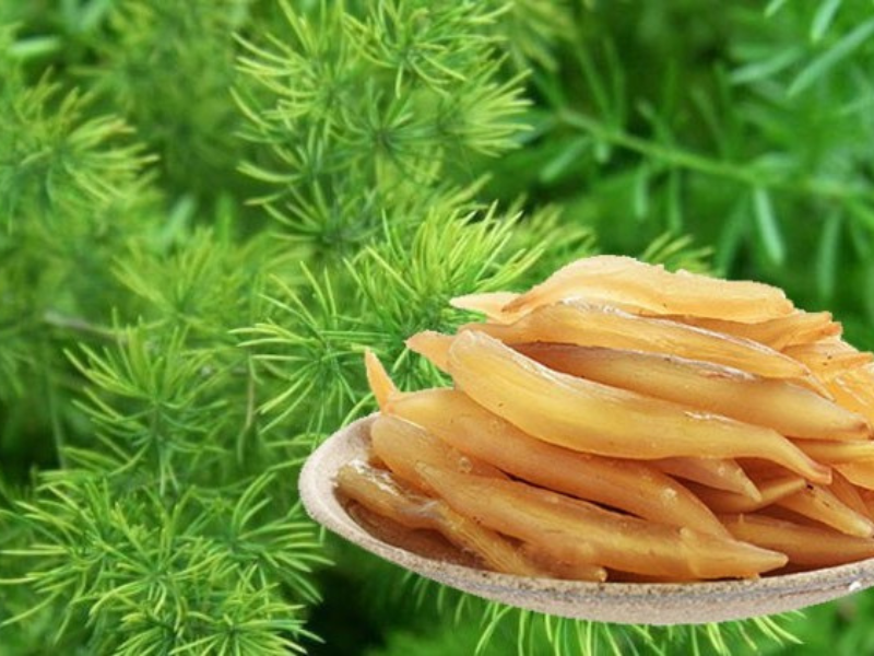 Cải thiện hóc môn sinh sản. nằm trong 3 cấp độ dưỡng buồng trứng