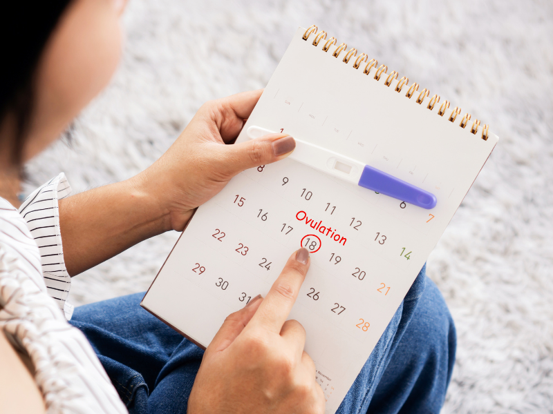 Hỗ trợ ổn định chu kỳ kinh nguyệt chị em. 