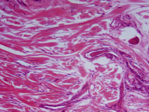 Dưỡng buồng trứng, điều hòa kinh.