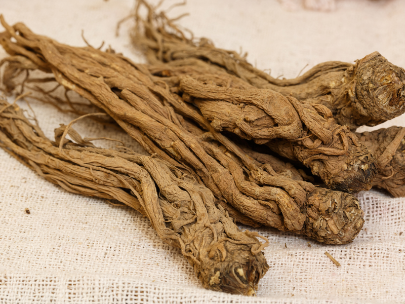 Mỗi phấn của đương quy sẽ có công dụng riêng.