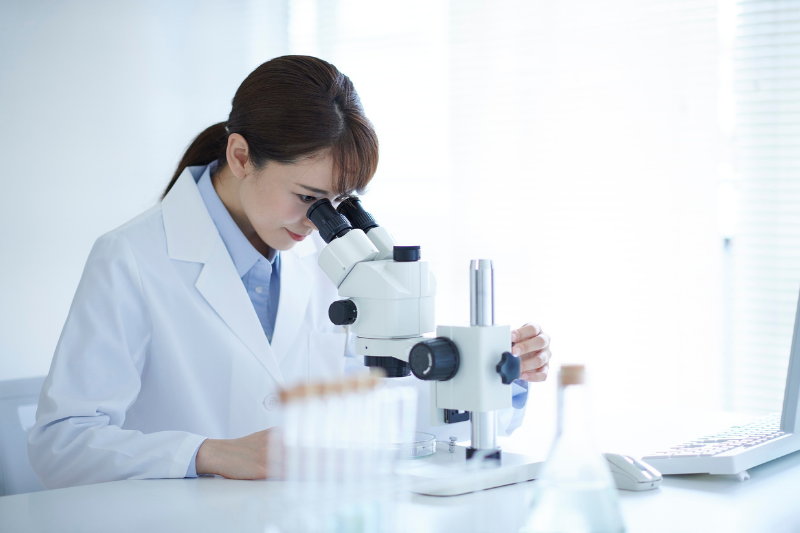 Nghiên cứu của Y Liu et al., 2025 chỉ ra hệ miễn dịch ảnh hưởng đến nang trứng và phôi, sử dụng BSK3S có thể hỗ trợ cải thiện sức khỏe sinh sản.