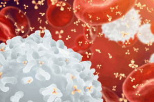 BSK-3S trong bộ sản phẩm bổ trứng cho mẹ thả bầu của Nhật Đức