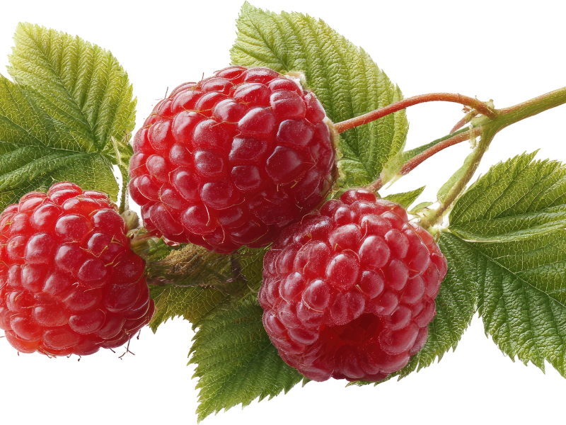 Tăng tuần hoàn, tạo điều kiện thuận lợi cho buồng trứng hoạt động tốt.3 cấp độ dưỡng buồng trứng