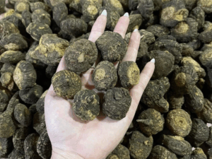 Maca có tác dụng rất tốt cho sinh sản nữ giới