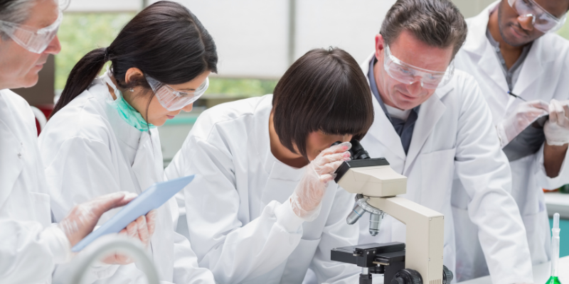 Maca đen cải thiện cả số lượng lẫn chất lượng trứng, đồng thời giúp chu kỳ ổn định. BSK-3S