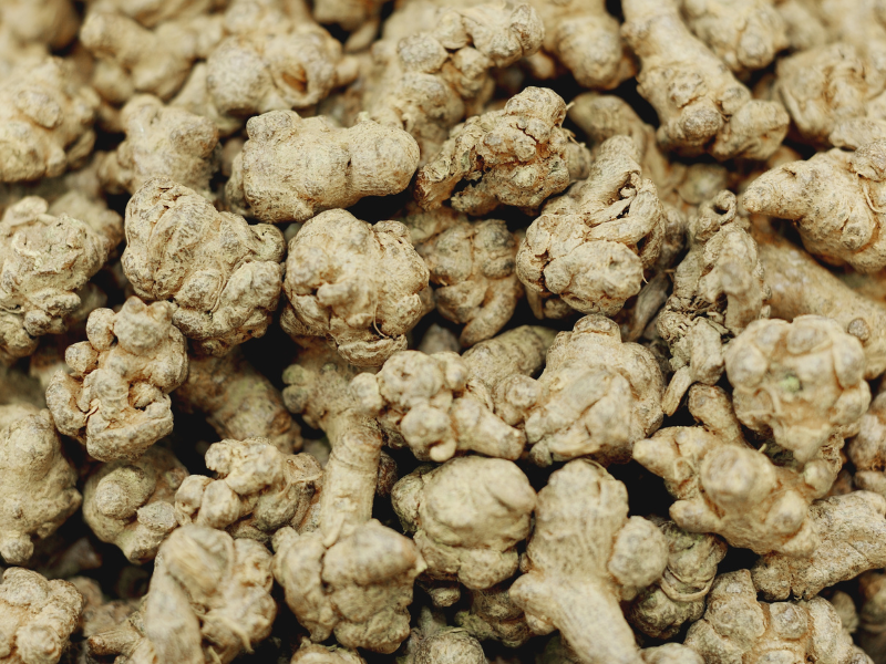 Tam thất rất tốt cho sức khỏe sinh sản