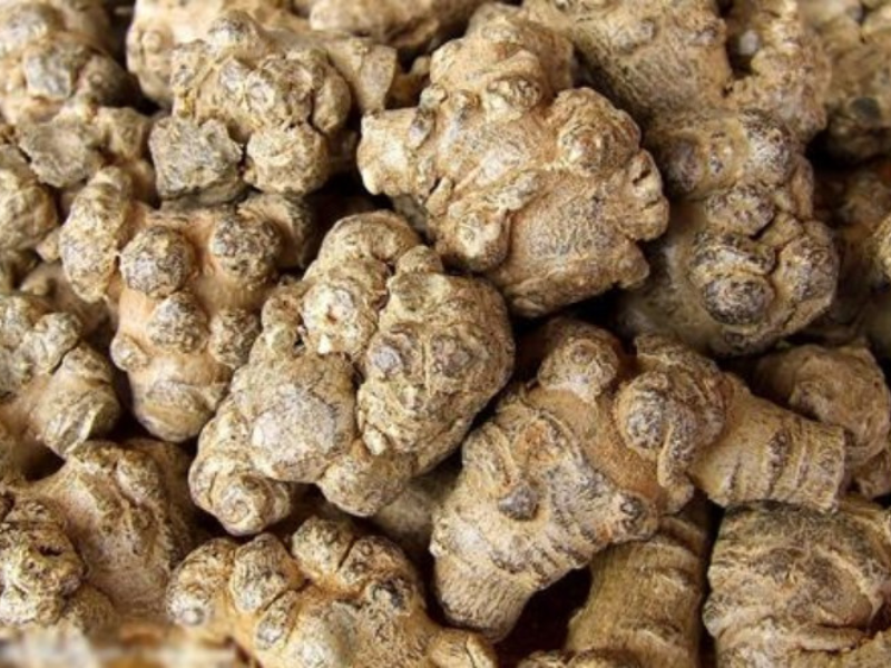 Tam thất dưỡng huyết bảo vệ mô buồng trứng. 3 cấp độ dưỡng buồng trứng