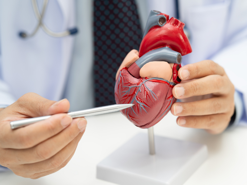 Tốt cho tim mạch