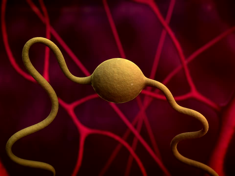 Nội tiết tố cân bằng giúp bảo vệ trứng tốt.