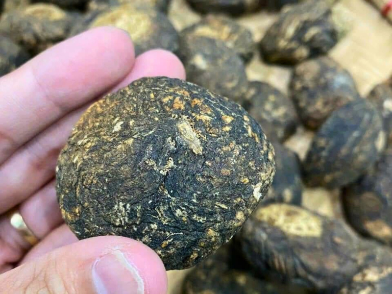 Maca đen – tăng chất lượng trứng và chu kỳ rụng trứng